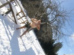 Зимние Карпаты 2010