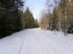 Зимние Карпаты 2010