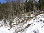 Зимние Карпаты 2010