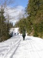 Зимние Карпаты 2010