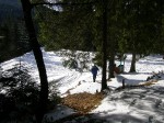 Зимние Карпаты 2010