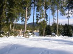 Зимние Карпаты 2010