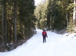 Зимние Карпаты 2010