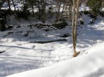 Зимние Карпаты 2010