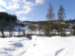 Зимние Карпаты 2010