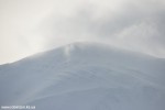 DSC_0123