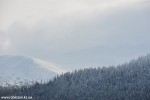 DSC_0128