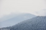 DSC_0151