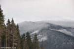 DSC_0173
