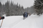 DSC_0190