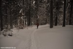 DSC_0237