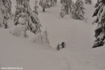 DSC_0272