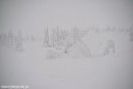 DSC_0285