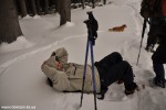 DSC_0312