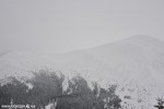 DSC_0357