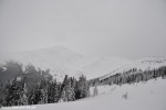 DSC_0364