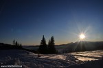 DSC_0646