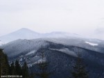 P1010018