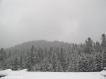 P1010031