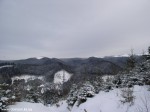 P1010035