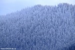 DSCF3297