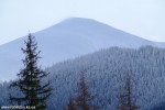 DSCF3312