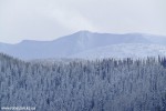 DSCF3319