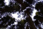 DSCF3321
