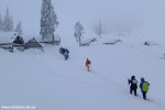 DSCF3393