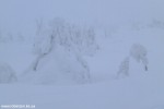 DSCF3420