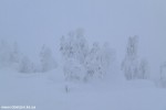 DSCF3432