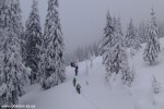 DSCF3477