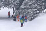 DSCF3495