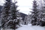 DSCF3530