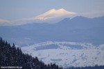 DSCF3545