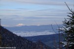 DSCF3546