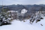 DSCF3548