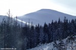 DSCF3560
