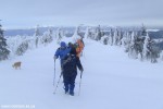 DSCF3584