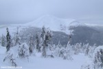 DSCF3587
