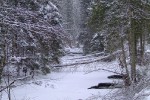 Замерзшее русло карпатской реки, 31 января 2010