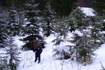 Пора возвращаться, 31 января 2010