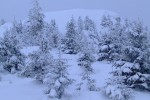 , 1 февраля 2010