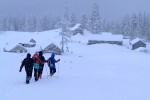 , 1 февраля 2010