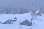 , 1 февраля 2010