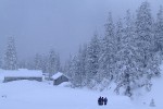 , 1 февраля 2010