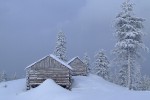 , 1 февраля 2010