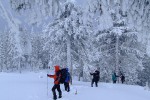 , 1 февраля 2010