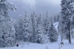 , 1 февраля 2010