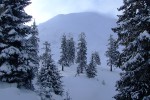 , 1 февраля 2010